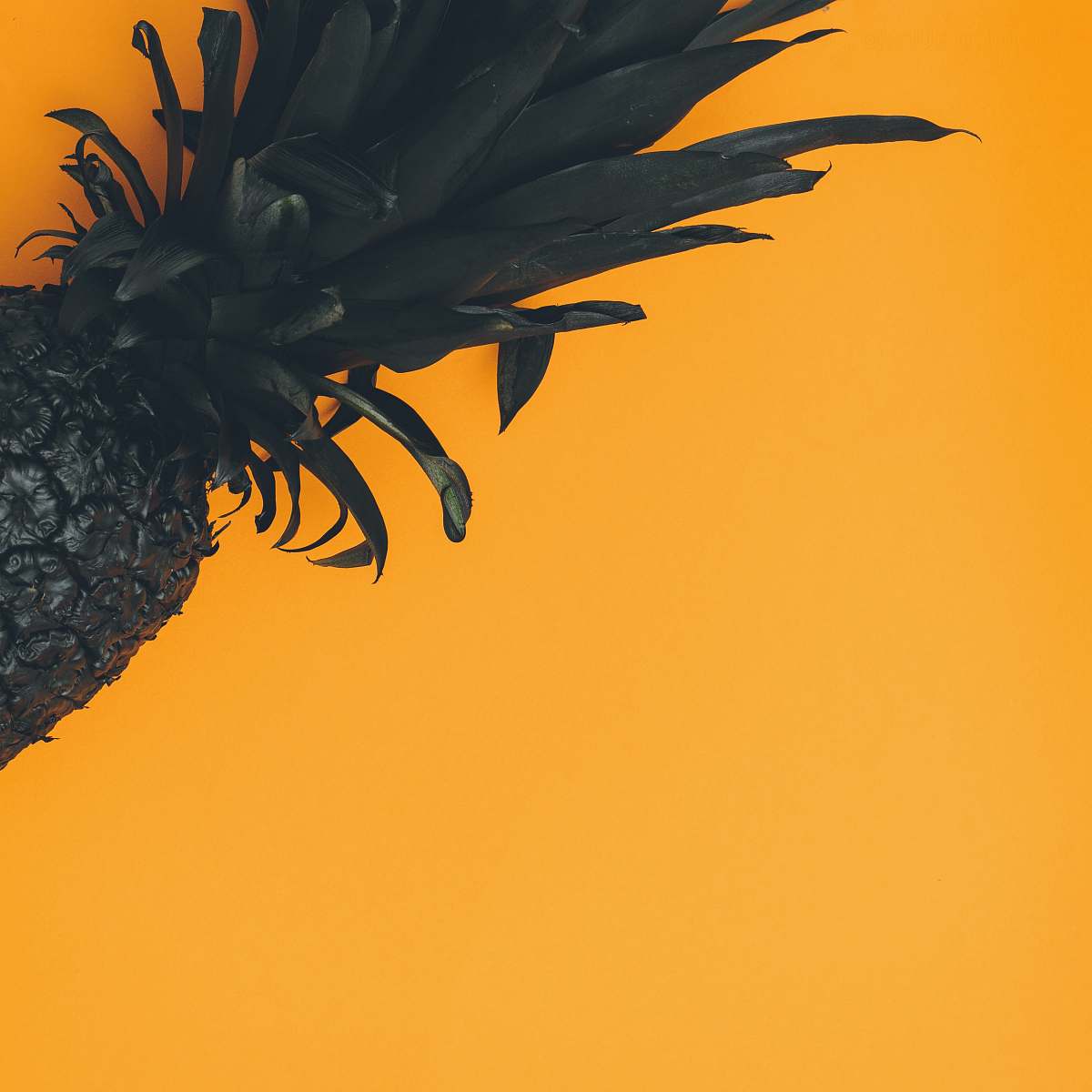 scott webb photography pineapple on orange background london